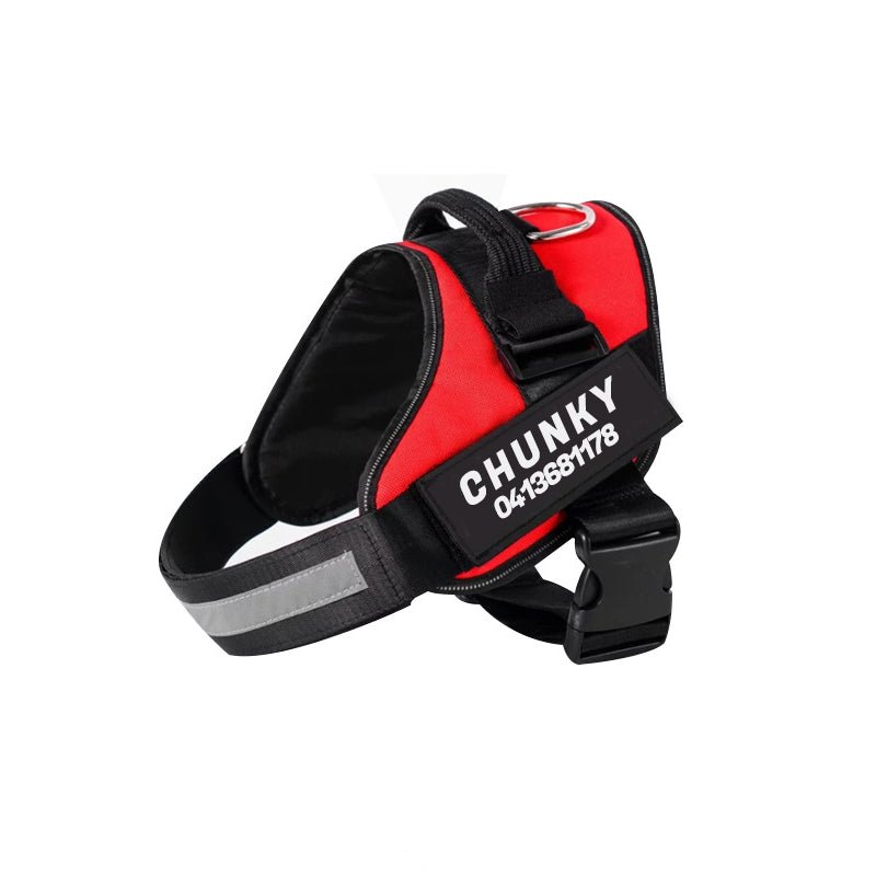 Skorter | Dogsafe Harness – Reflective, No-Pull Dog Harness with Personalizable Name Tag