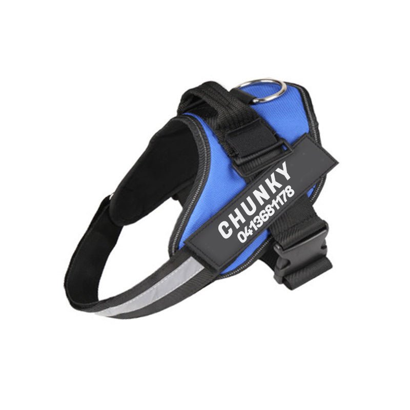 Skorter | Dogsafe Harness – Reflective, No-Pull Dog Harness with Personalizable Name Tag