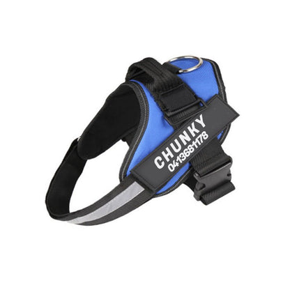 Skorter | Dogsafe Harness – Reflective, No-Pull Dog Harness with Personalizable Name Tag