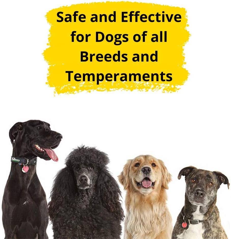 Skorter | Dogtra YS600 No Bark Collar (Refurbished)