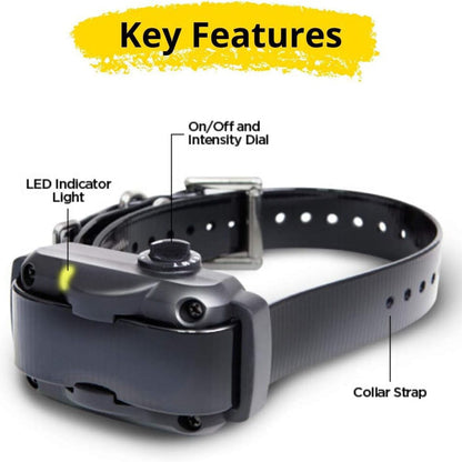Skorter | Dogtra YS600 No Bark Collar (Refurbished)