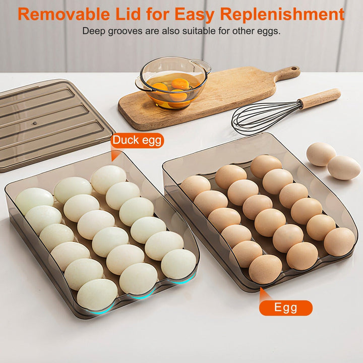 Skorter | Double layer egg storage for refrigerator