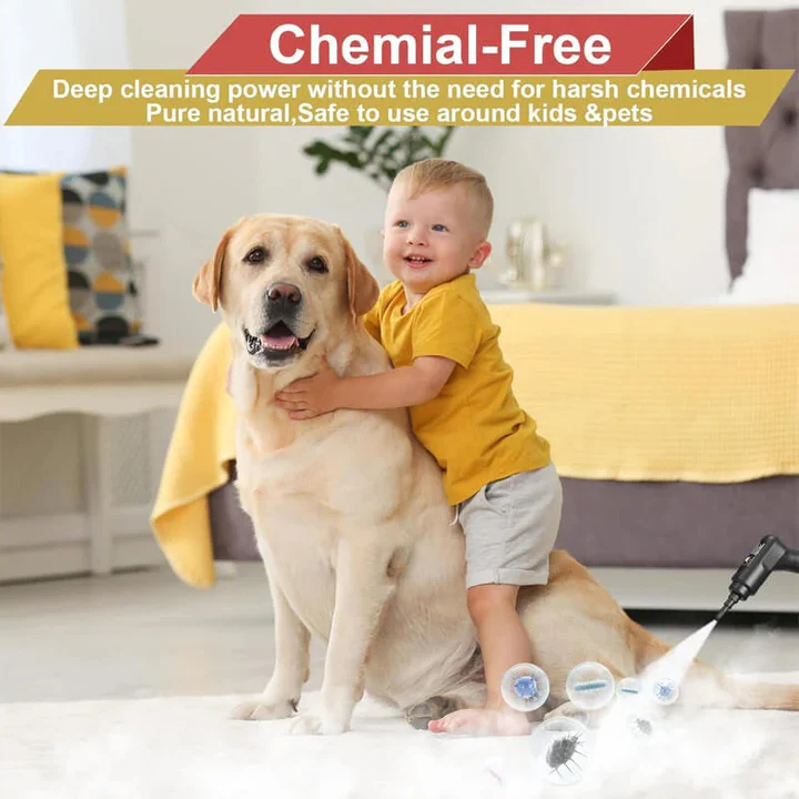 Skorter | 2500W High Pressure Steam Cleaner with Gloves