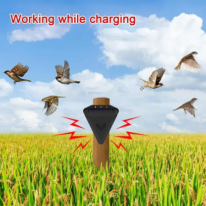 Skorter | Solar Outdoor Bird Repeller