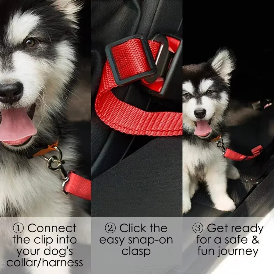 Skorter | Adjustable Dog Seat Belt