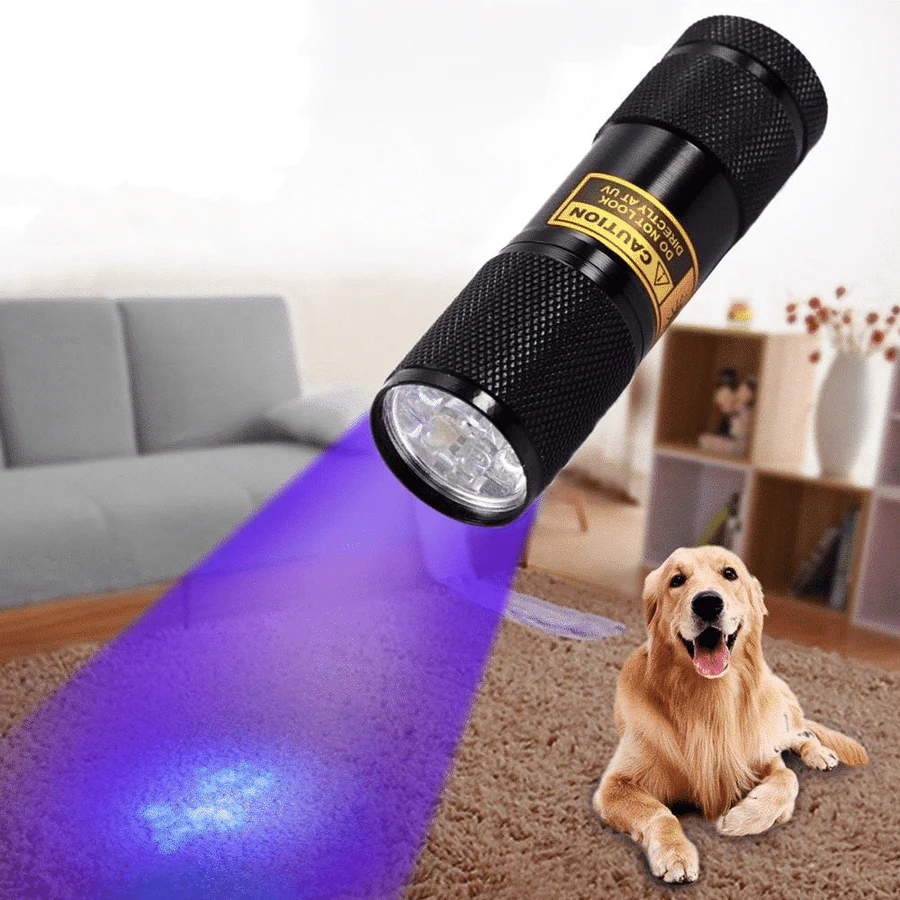 Skorter | Compact UV Blacklight Flashlight for Inspection and Cleaning Checks