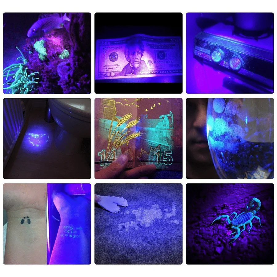 Skorter | Compact UV Blacklight Flashlight for Inspection and Cleaning Checks