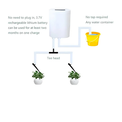 Skorter | Automatic Watering Pump Controller