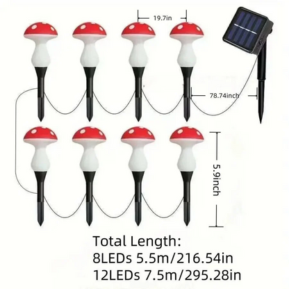 Skorter | LED Solar Lights Outdoor Decorative
