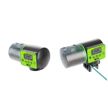 Skorter | Automatic Fish Feeder