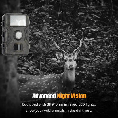 Skorter | 1080P Night Vision Trail Camera with Motion Detection