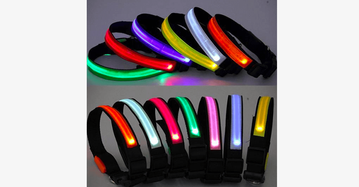 Skorter | LED Dog Collar – Keep an eye on your pet!