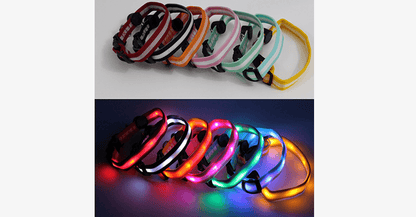 Skorter | LED Dog Collar – Keep an eye on your pet!