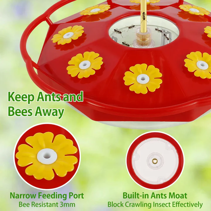 Skorter | Flower-Shaped Hummingbird Feeder