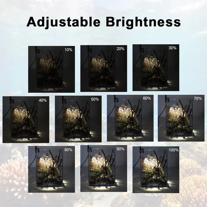 Skorter | LED Light for Fish Tank