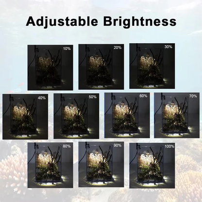 Skorter | LED Light for Fish Tank