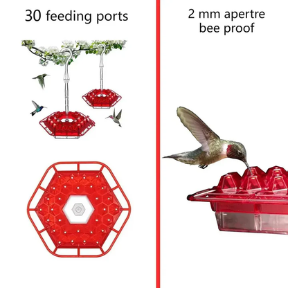 Skorter | Ant Proof Hummingbird Feeder, Outdoor Hanging Perch