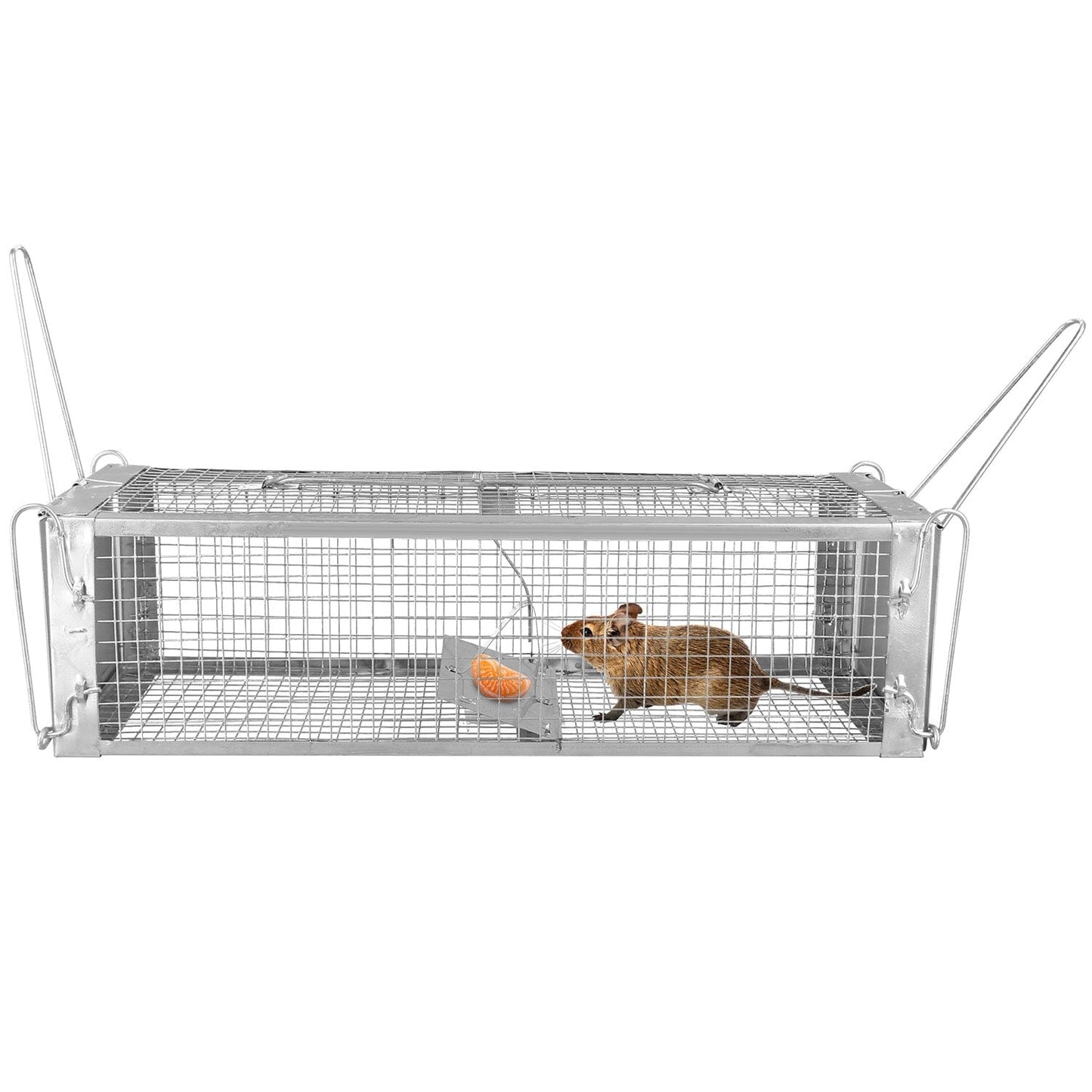 Skorter | Double Door Rat Teft Cag Human with 2 Removable U Form Rod