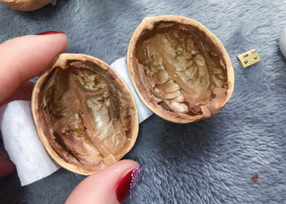 Skorter | Handmade.Walnut Shell Doll House--Mini Library, Tiny World Inside Walnuts