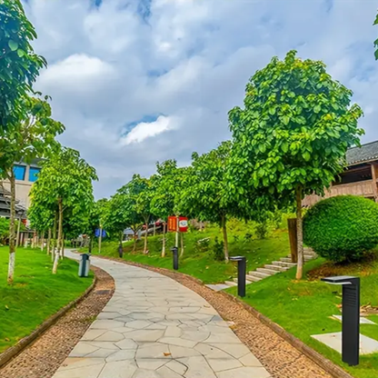 Skorter | Solar Garden Light – Elegant & Eco-Friendly Outdoor Illumination