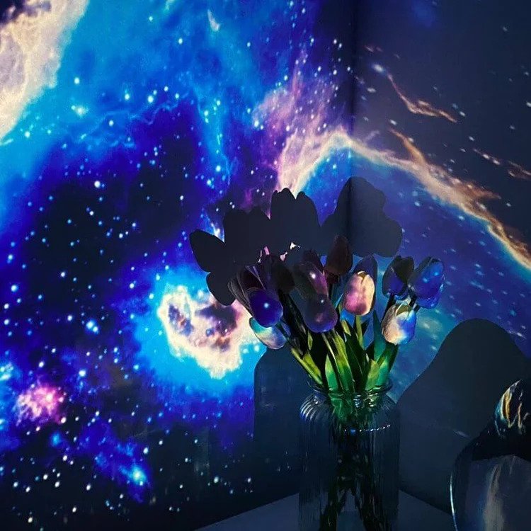 Skorter | Galaxy Lamp - Transform your room