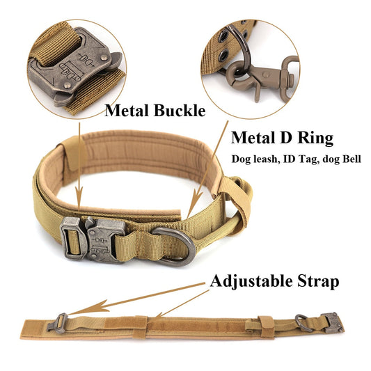 Skorter | Dog collar