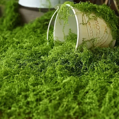 Skorter | Artificial Moss for Landscaping – Moss and Flowers for Decoration and Floristry