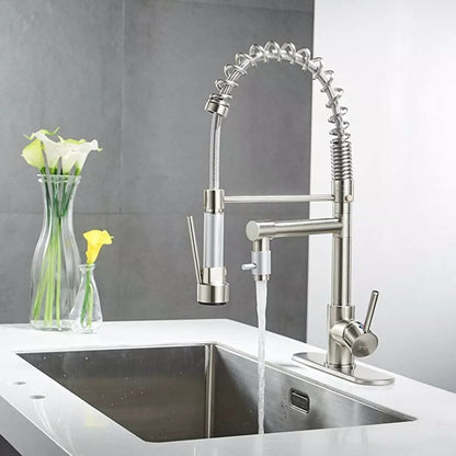 Skorter | 360° Stainless Steel Kitchen Faucet with Pull-Down Spring Spout
