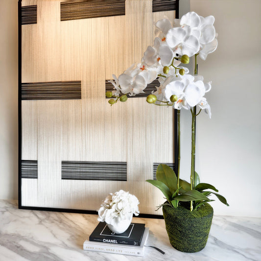 Skorter | Faux White Orchid in Moss Pot