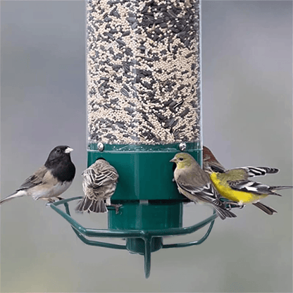 Skorter | FEEDERGUARD – Squirrel-Proof Birdhouse for the Garden