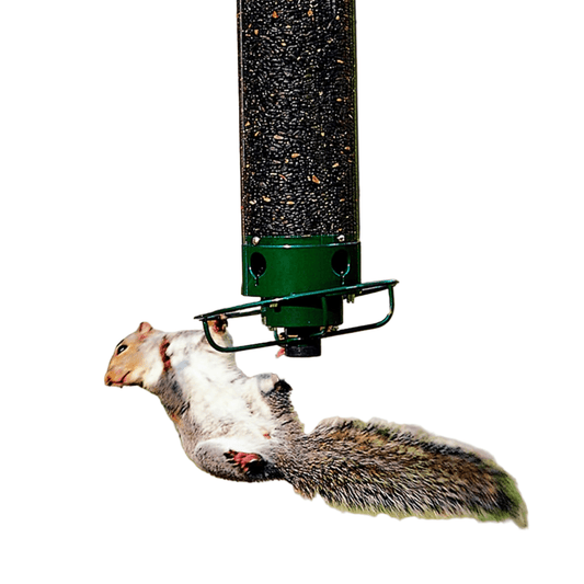 Skorter | FEEDERGUARD – Squirrel-Proof Birdhouse for the Garden