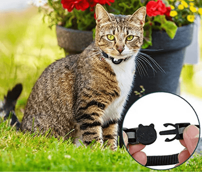 Skorter | FELITRACK – Cat GPS Tracker Collar with Reflective Design