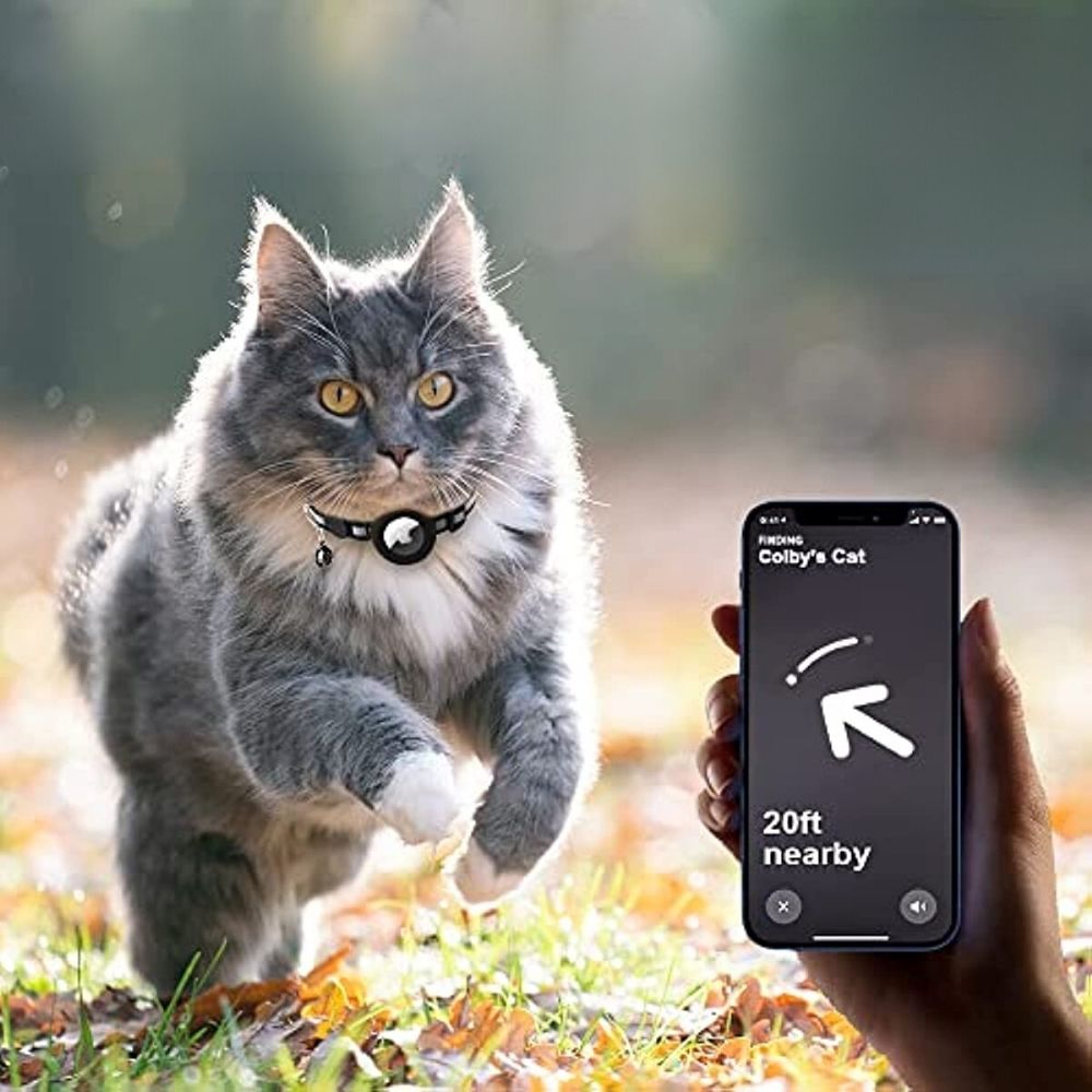 Skorter | FELITRACK – Cat GPS Tracker Collar with Reflective Design