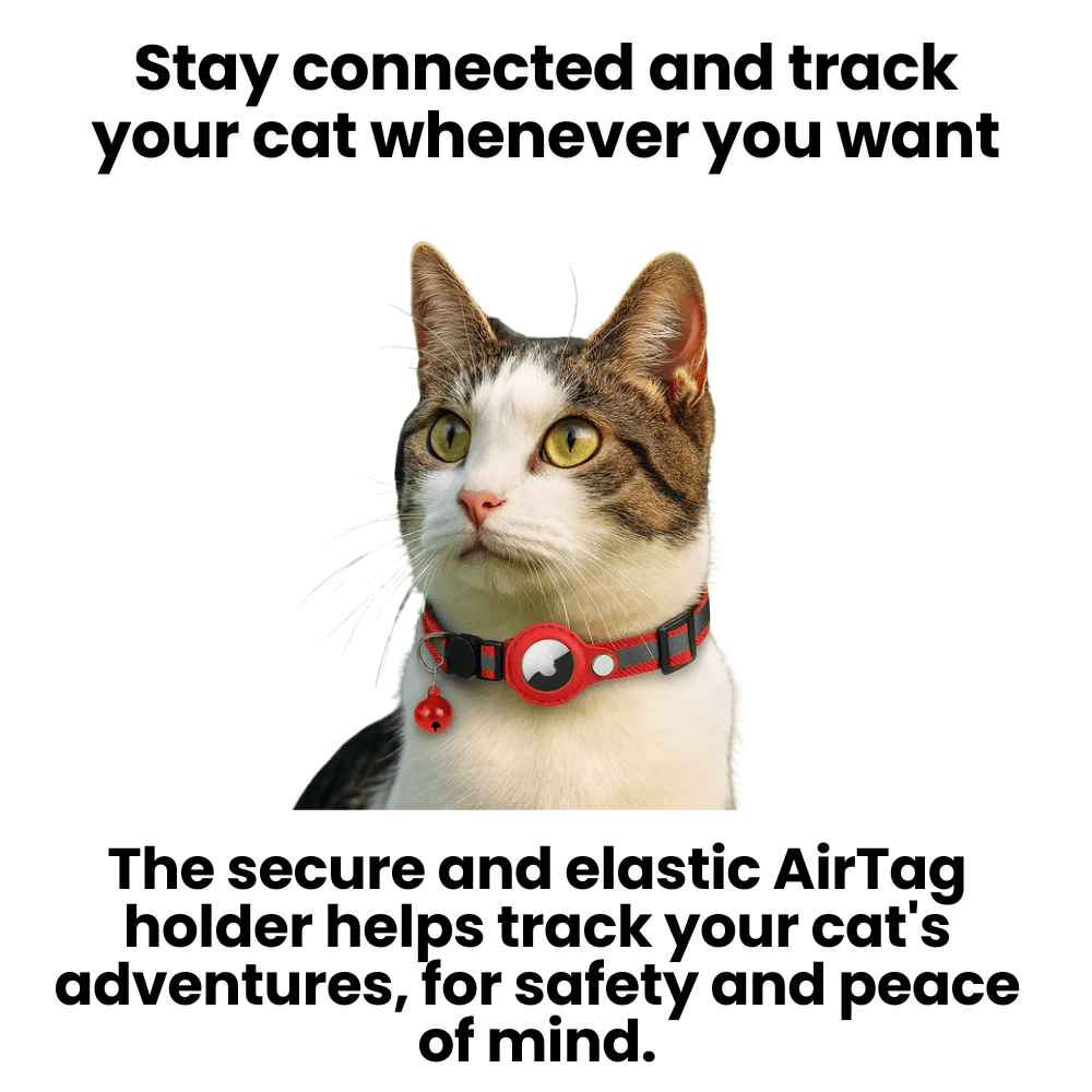 Skorter | FELITRACK – Cat GPS Tracker Collar with Reflective Design