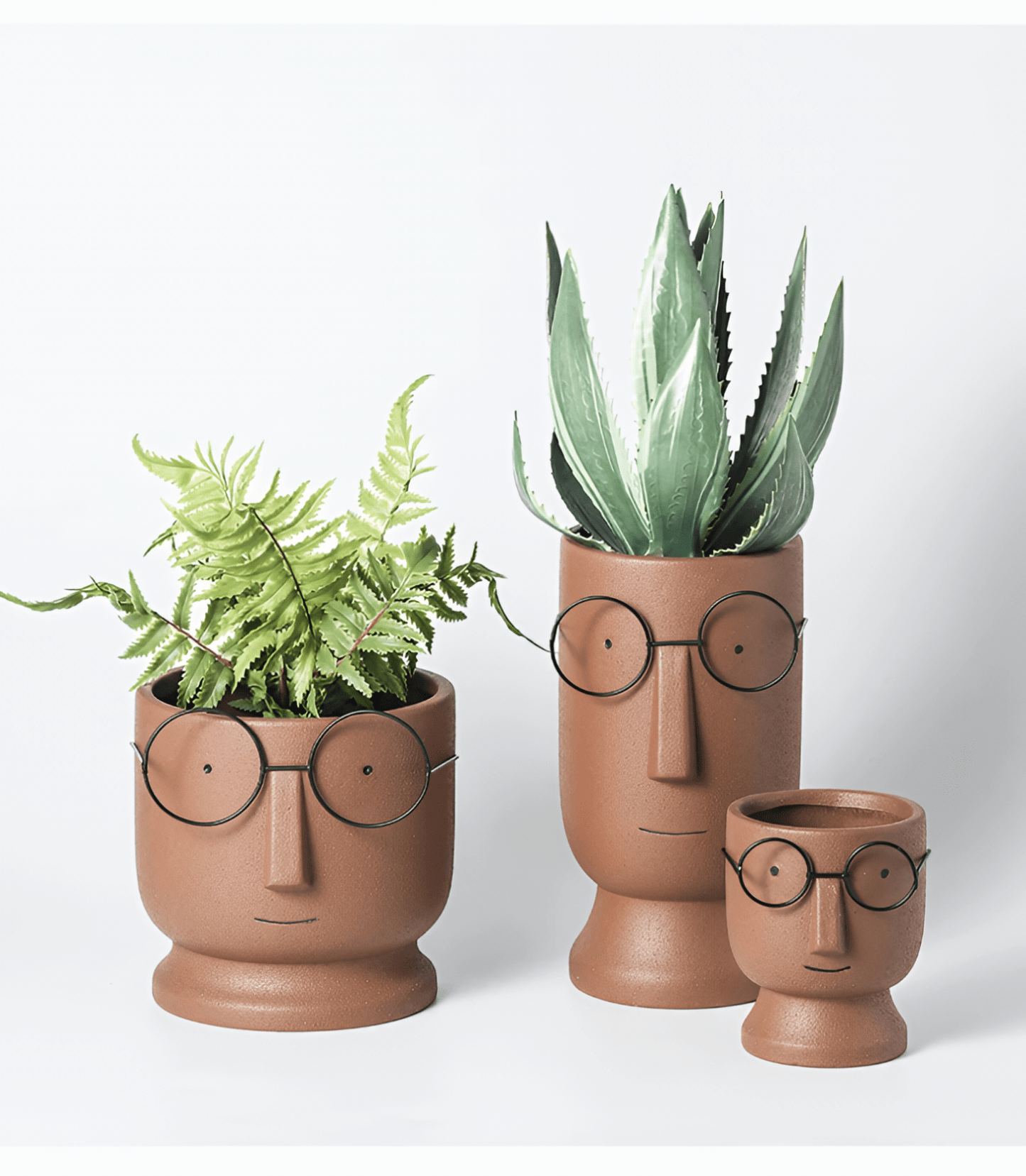Skorter | FERN & FRAMES | MODERN VASE
