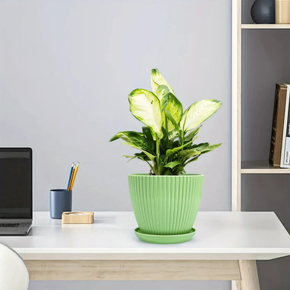 Skorter | Flower pot with groove structure and saucer – Sturdy plastic pot for plants