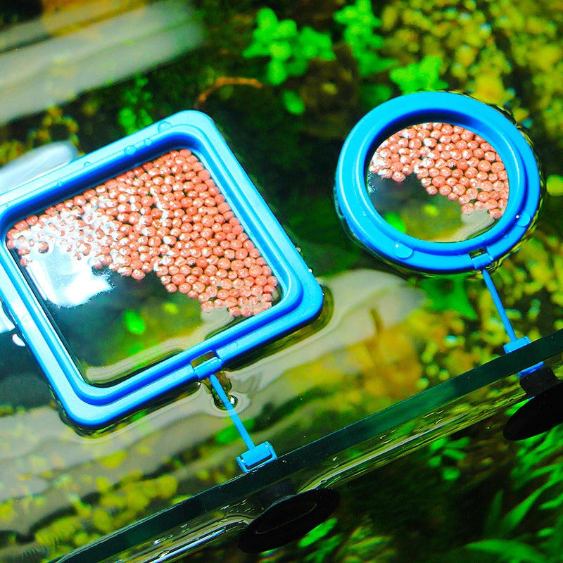 Skorter | Aquarium feeding ring