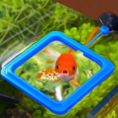 Skorter | Aquarium feeding ring