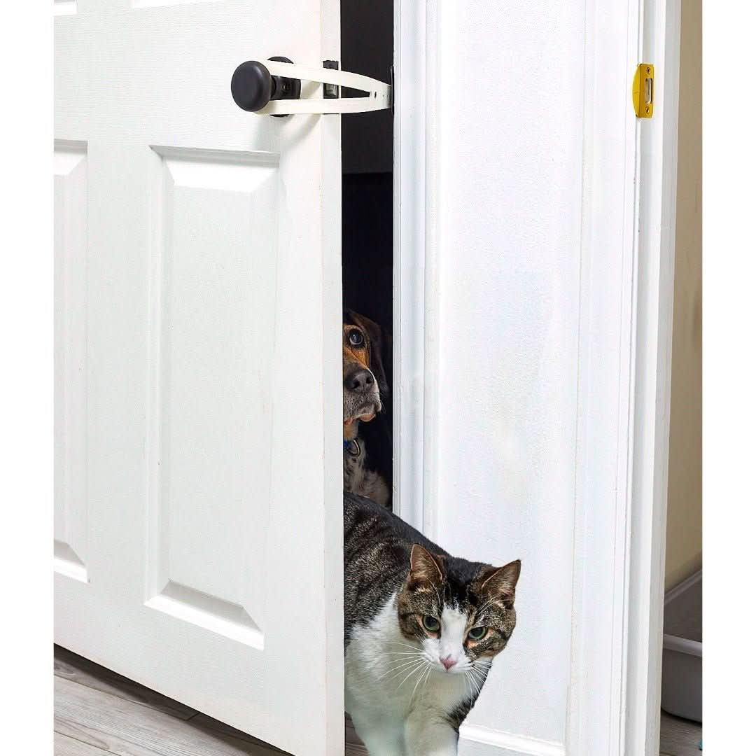 Skorter | Flexlatch | Cat Door Holder
