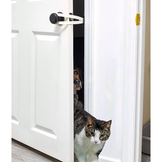 Skorter | Flexlatch | Cat Door Holder