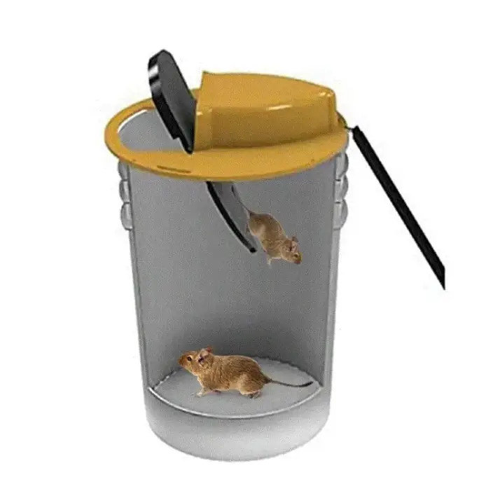 Skorter | Flip & Slide - Mouse and Rat Trap