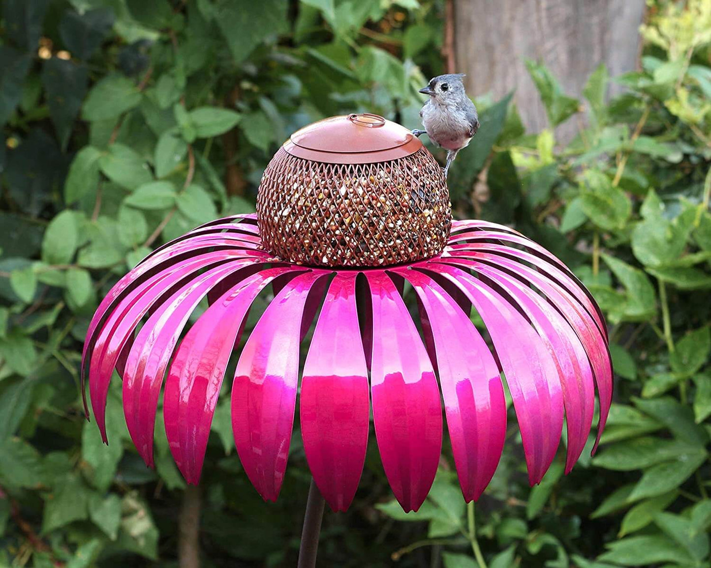 Skorter | Flower-Shaped Bird Feeder - FloraFeeder