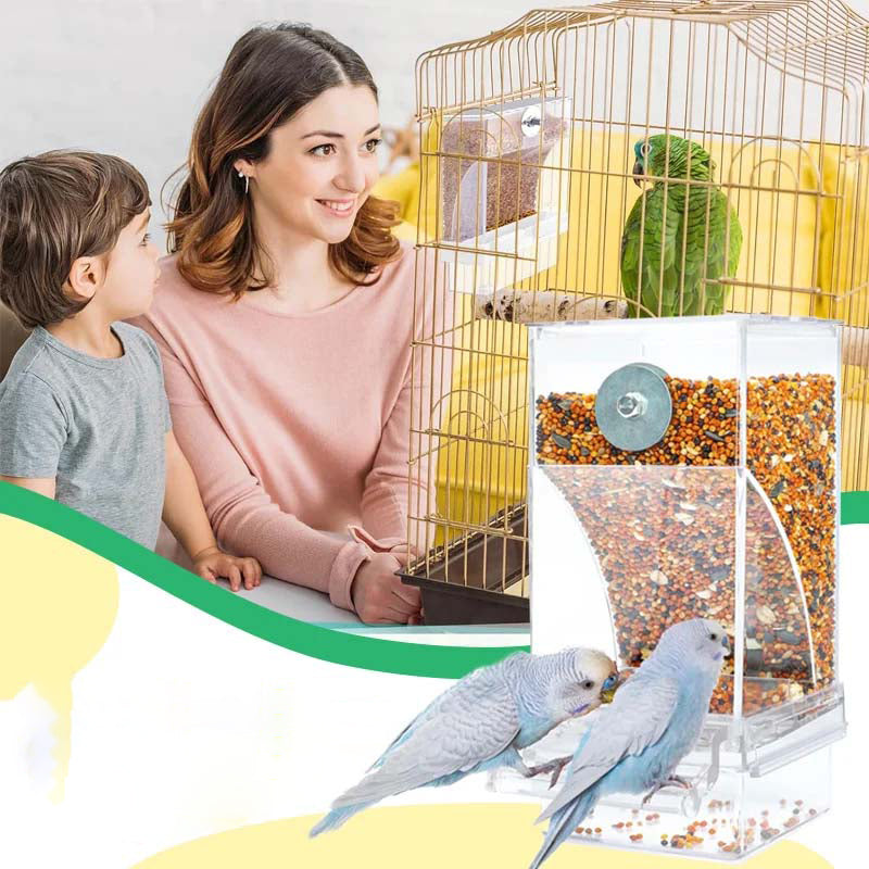Skorter | Automatic transparent bird feeder without spills