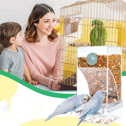 Skorter | Automatic transparent bird feeder without spills