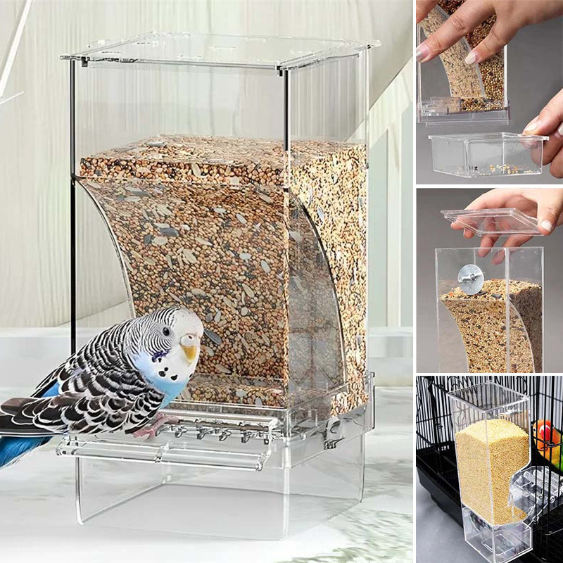 Skorter | Automatic transparent bird feeder without spills