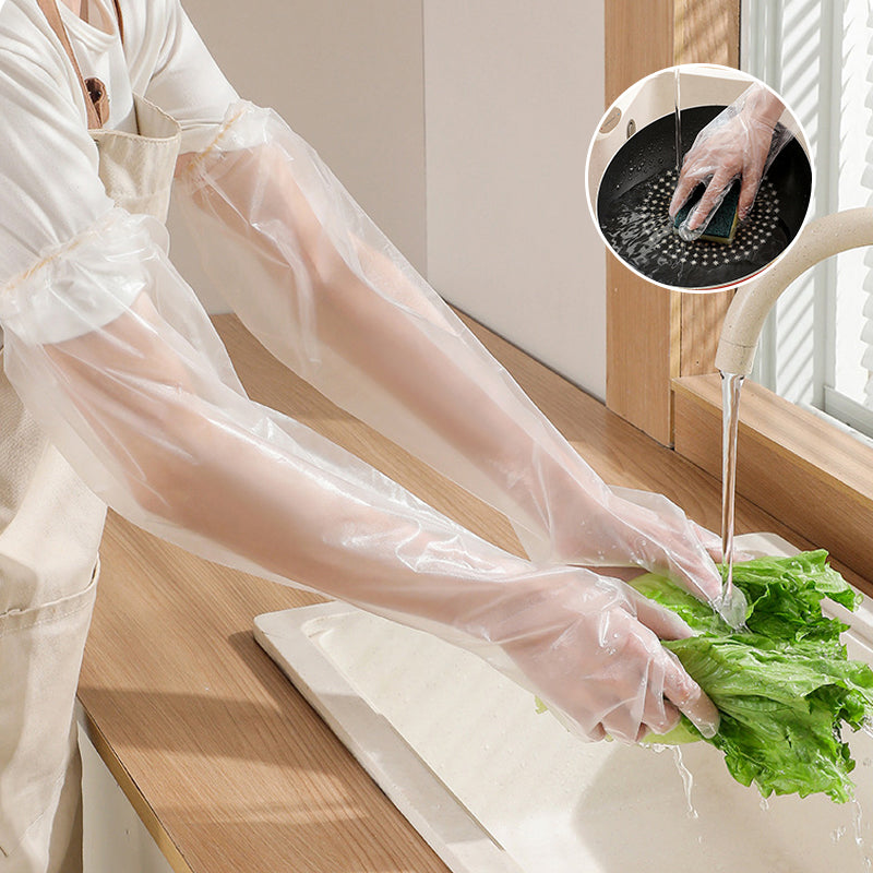 skorter | Disposable Gloves