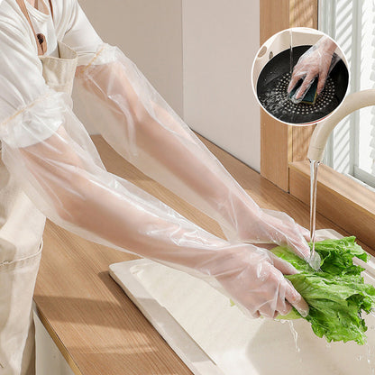 skorter | Disposable Gloves