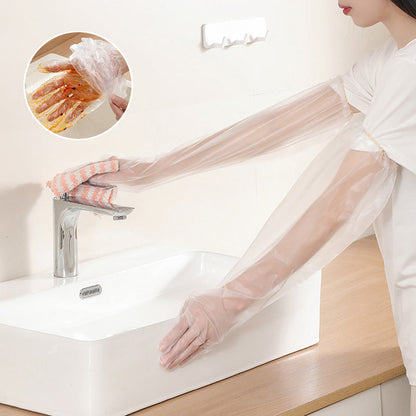 skorter | Disposable Gloves