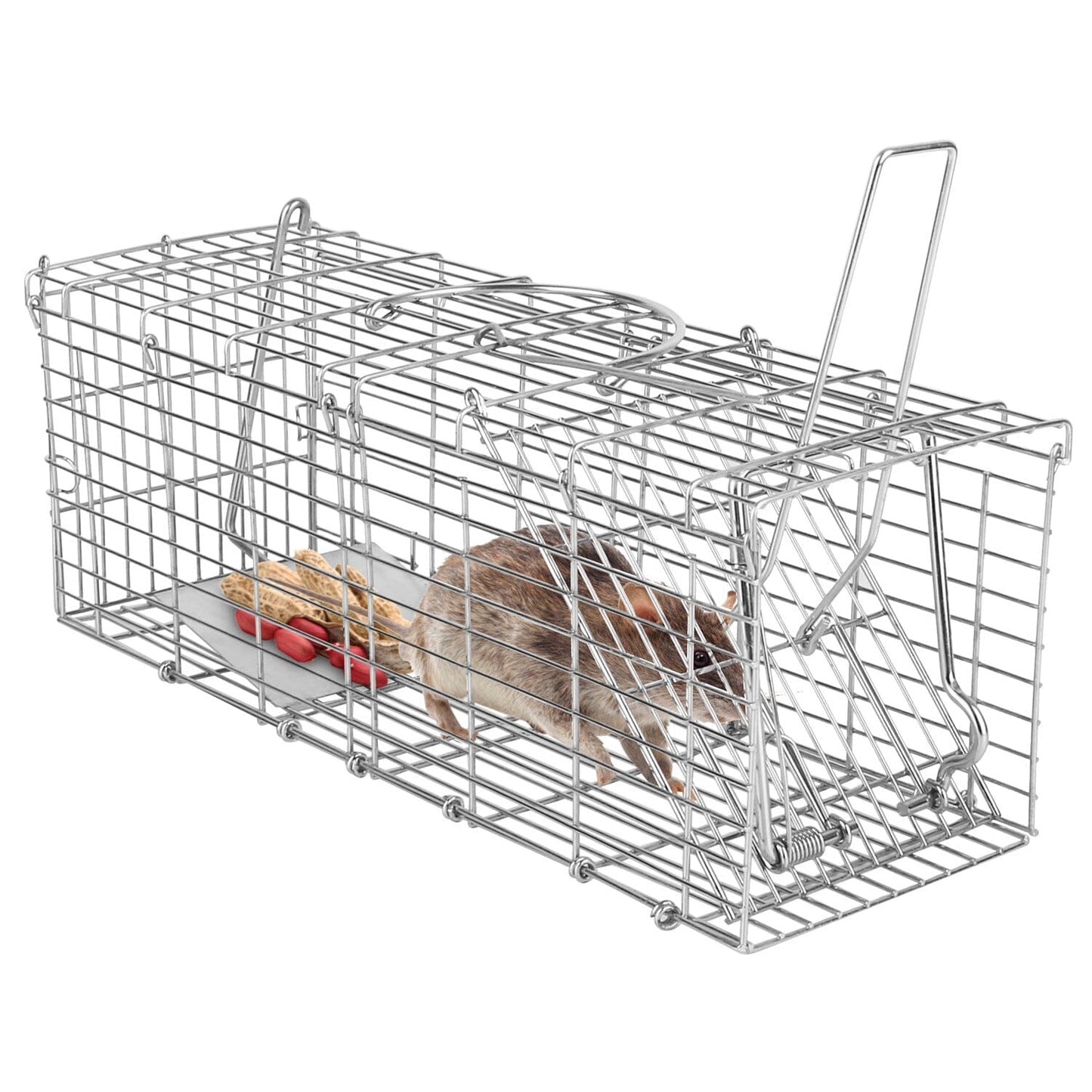 Skorter | Collapsible Rat Trap Cage Human Live Rodent Trap Cage
