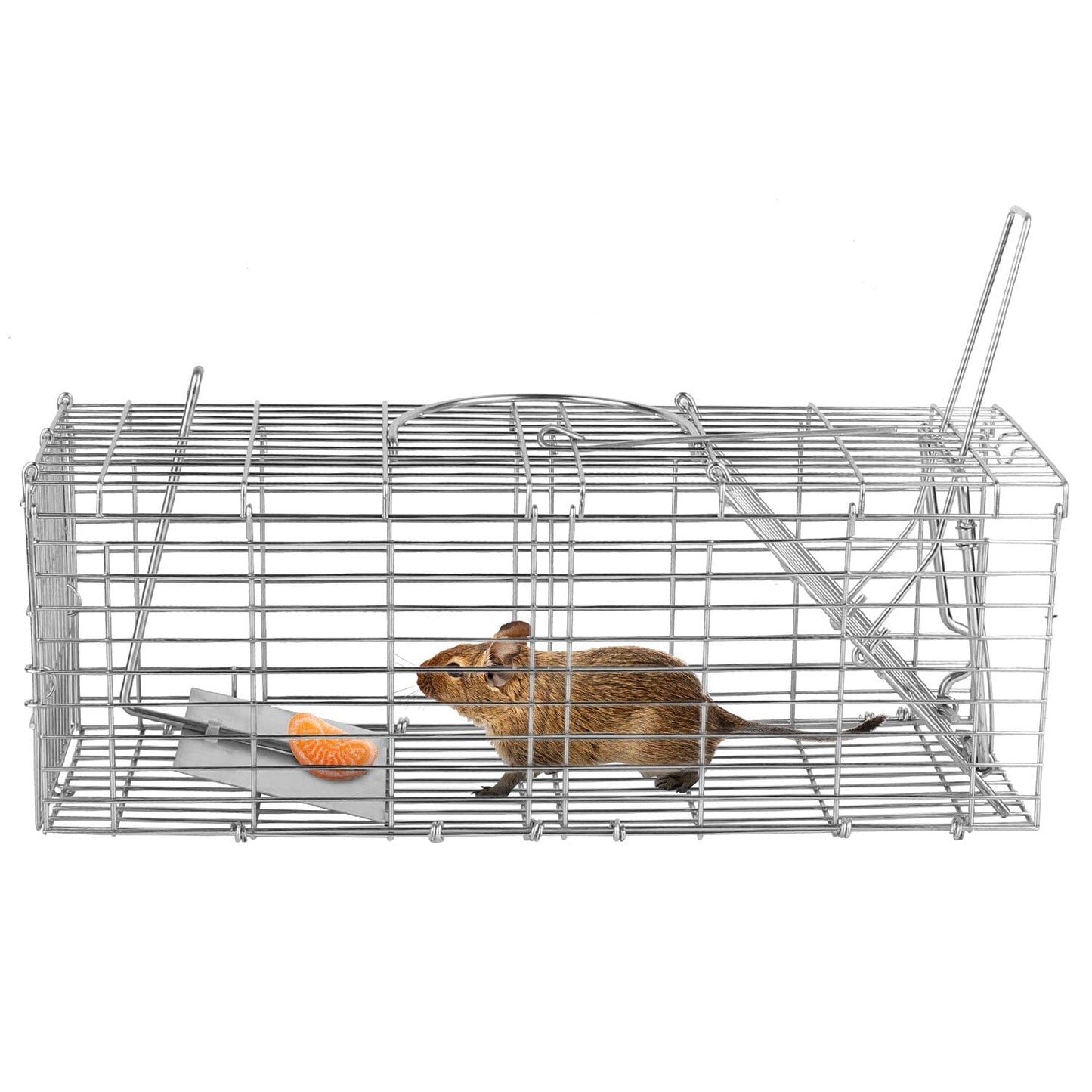 Skorter | Collapsible Rat Trap Cage Human Live Rodent Trap Cage